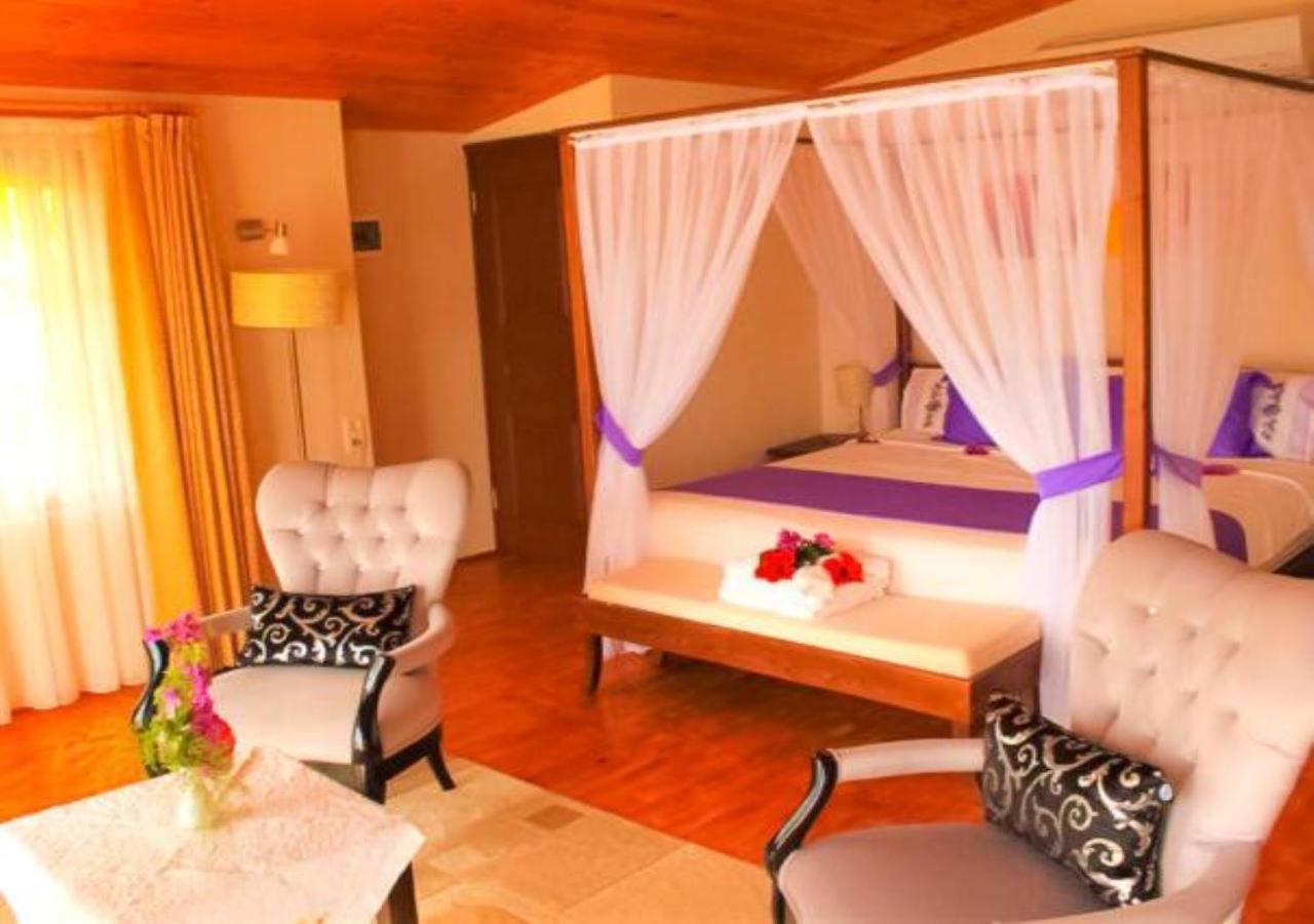 Aphrodite Hotel 보즈부른 외부 사진